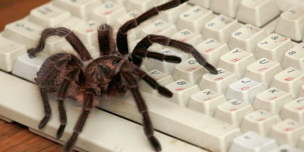 أنتثروبيك وأوبن إيه آي تزحفان على الويب