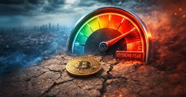 خوف شديد يهيمن على البيتكوين! ماذا يعني ذلك لسعر BTC؟